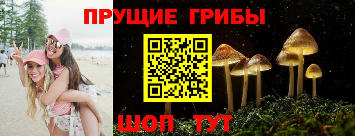 Псилоцибиновые грибы мицелий  Вход с VPN  Саранск 